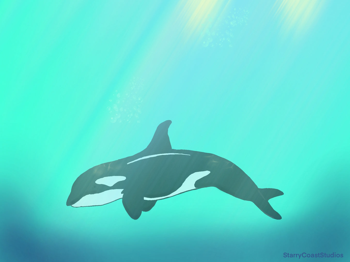 Orca Whale Print