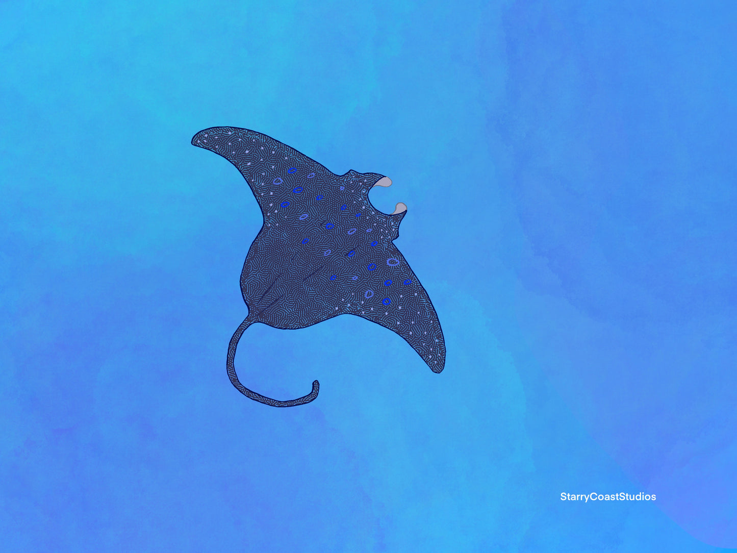 Manta Ray Print